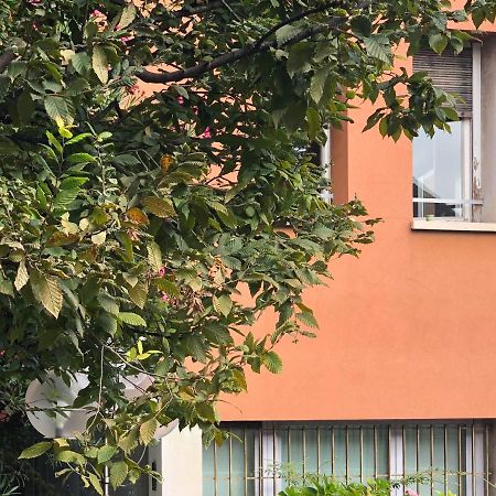 Brera Cocoon Leilighet Milano Eksteriør bilde